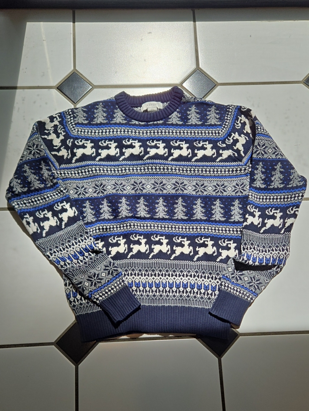 ASPEN Men's Blue Fair Isle Reindeer Crewneck Sweater